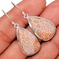 Indonesian Fossil Coral Earring-FSCE148
