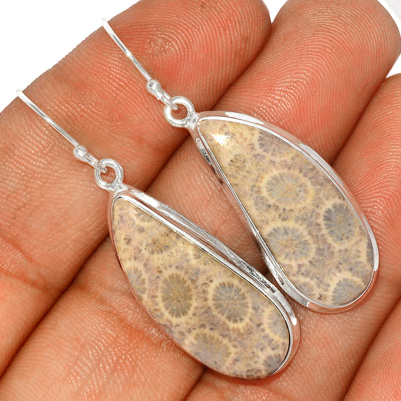 2" Indonesian Fossil Coral Earrings - FSCE206