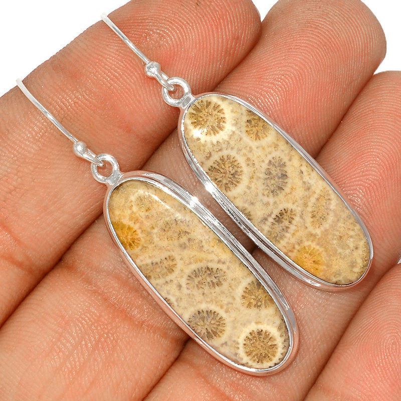 2" Indonesian Fossil Coral Earrings - FSCE207