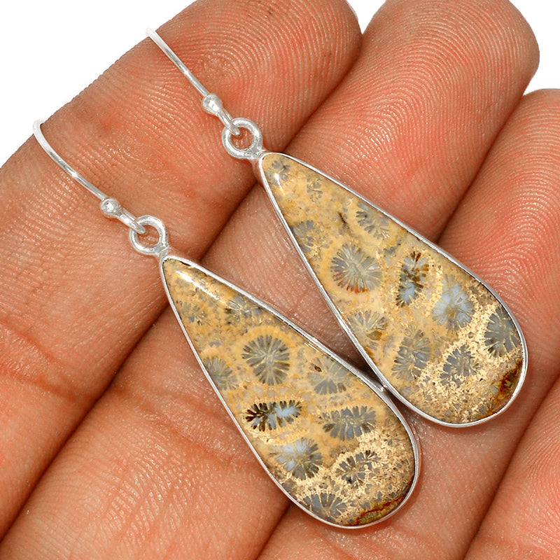 2" Indonesian Fossil Coral Earrings - FSCE212
