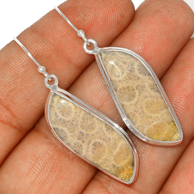 2" Indonesian Fossil Coral Earrings - FSCE220