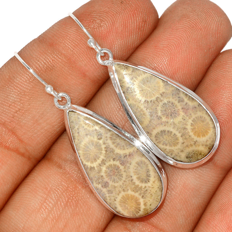 2" Indonesian Fossil Coral Earrings - FSCE221
