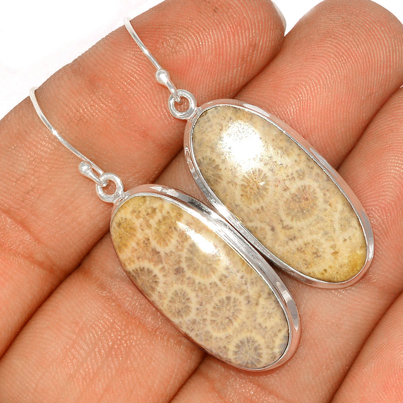 1.7" Indonesian Fossil Coral Earrings - FSCE225