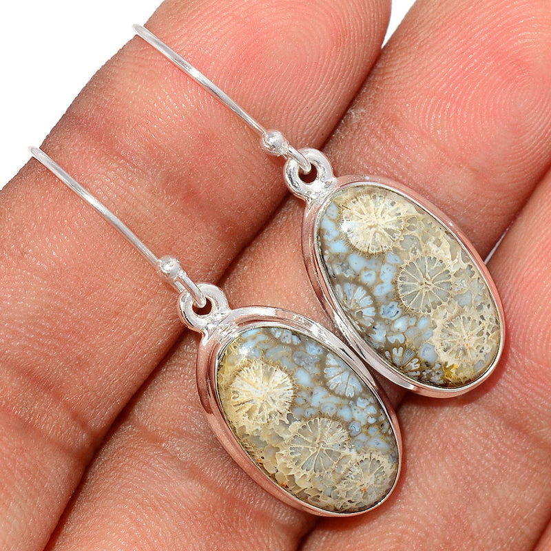 1.3" Indonesian Fossil Coral Earrings - FSCE237