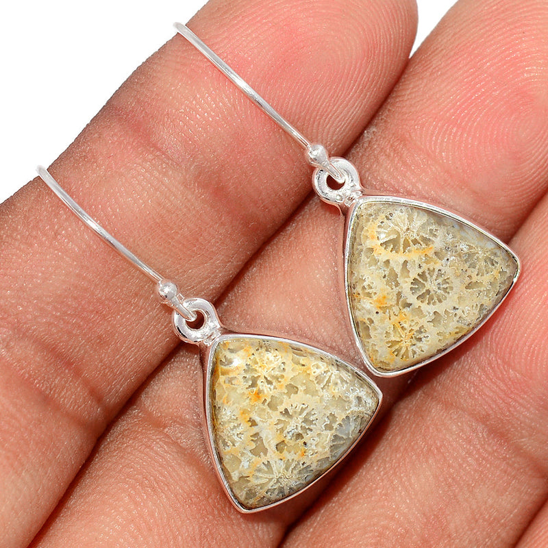 1.2" Indonesian Fossil Coral Earrings - FSCE244