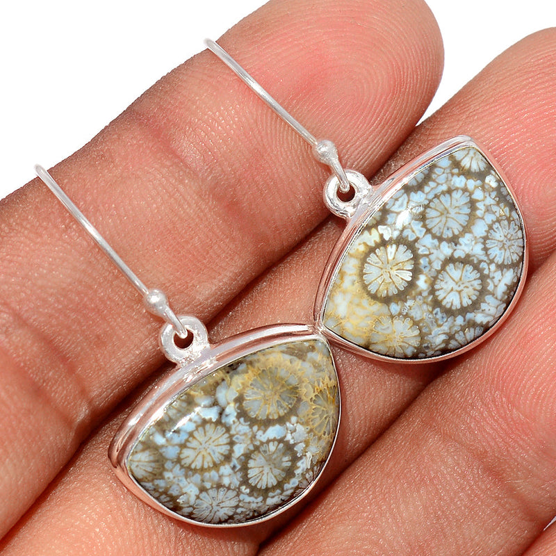 1.2" Indonesian Fossil Coral Earrings - FSCE254