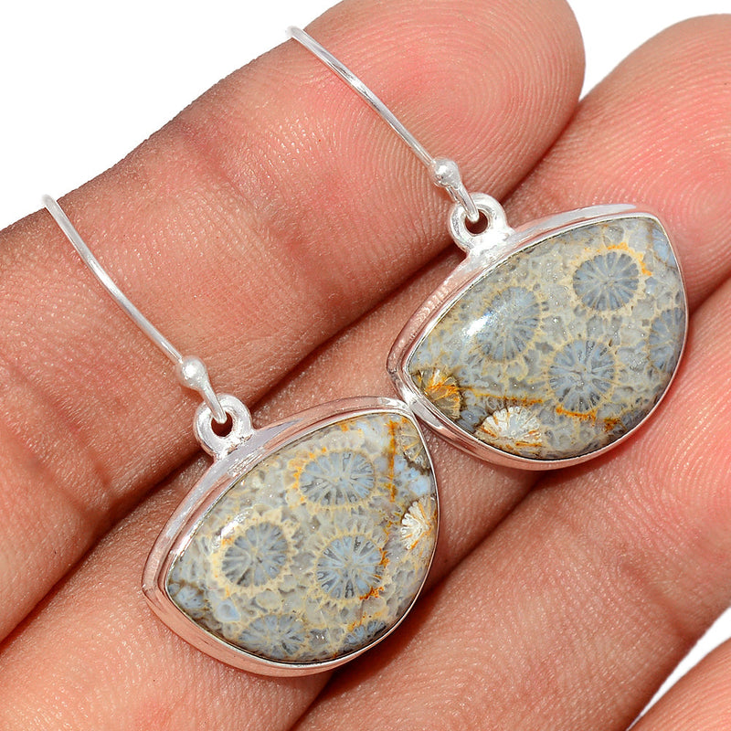1.3" Indonesian Fossil Coral Earrings - FSCE256
