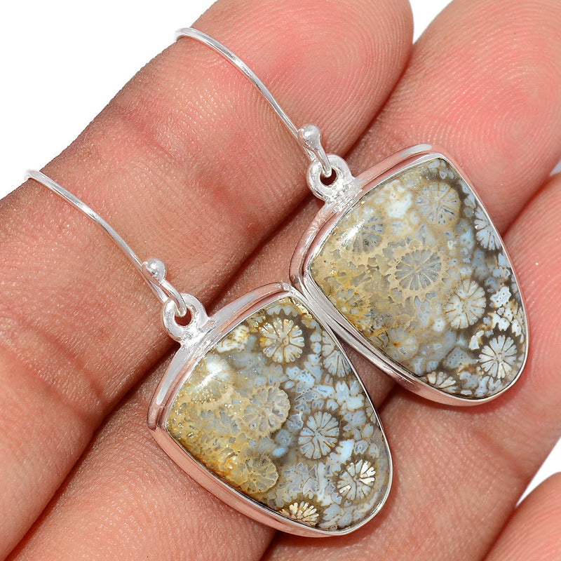 1.5" Indonesian Fossil Coral Earrings - FSCE258