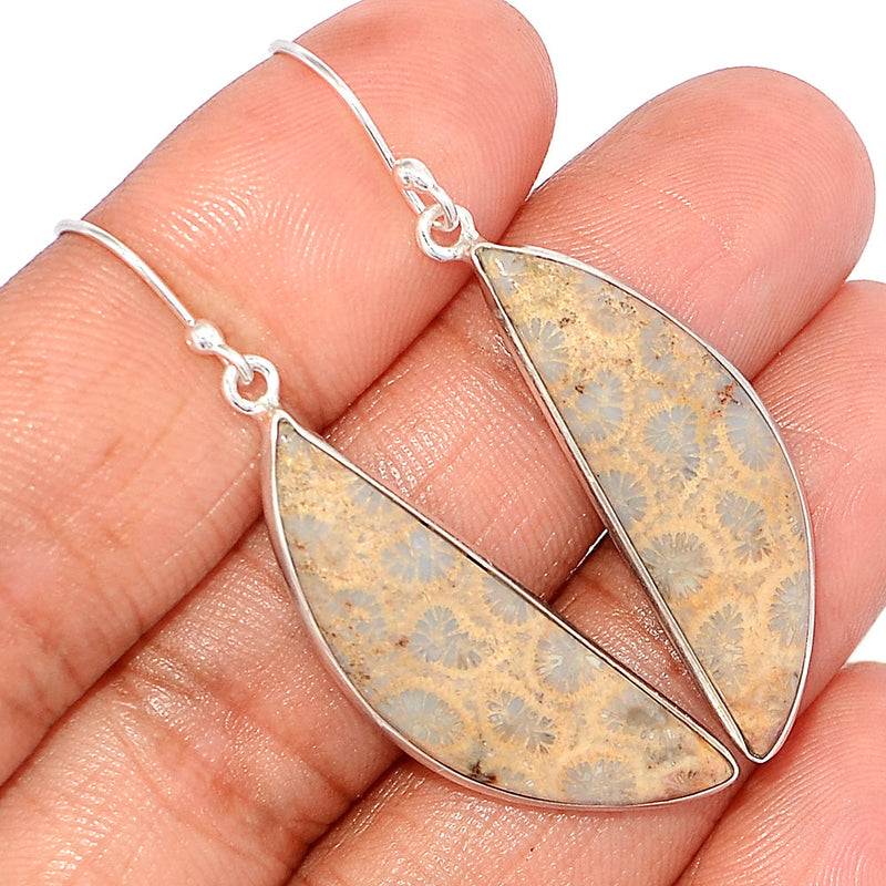 2" Indonesian Fossil Coral Earrings - FSCE273