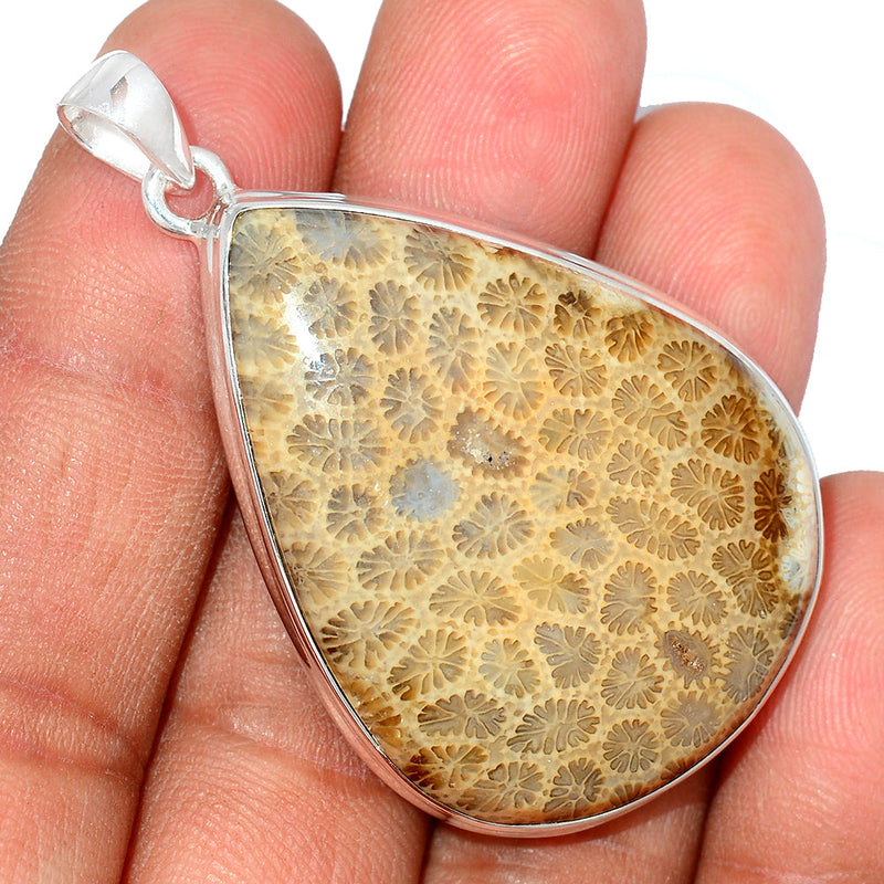 2" Indonesian Fossil Coral Pendants - FSCP293