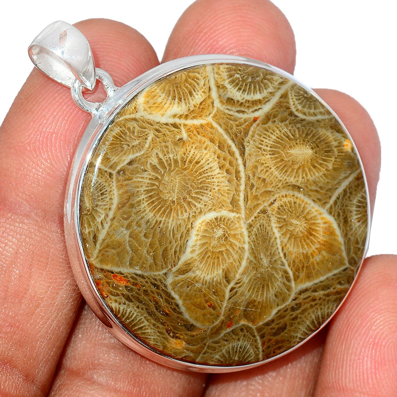 1.8" Indonesian Fossil Coral Pendants - FSCP310