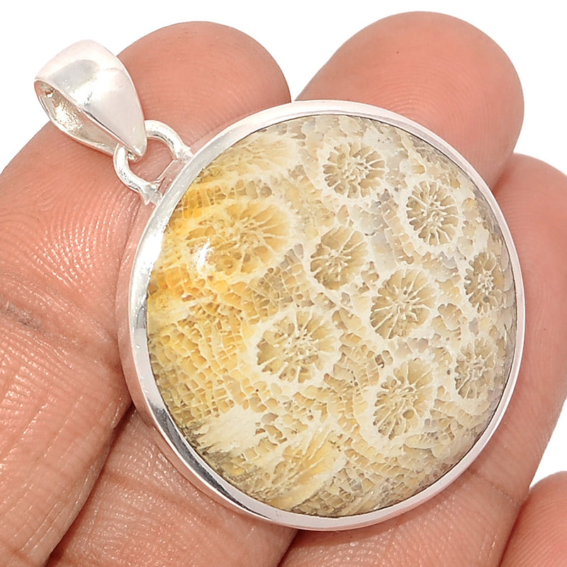 1.7" Indonesian Fossil Coral Pendants - FSCP348