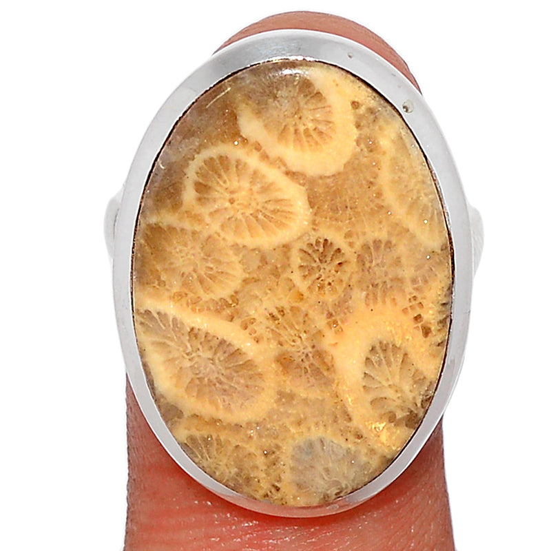Indonesian Fossil Coral Ring - FSCR303