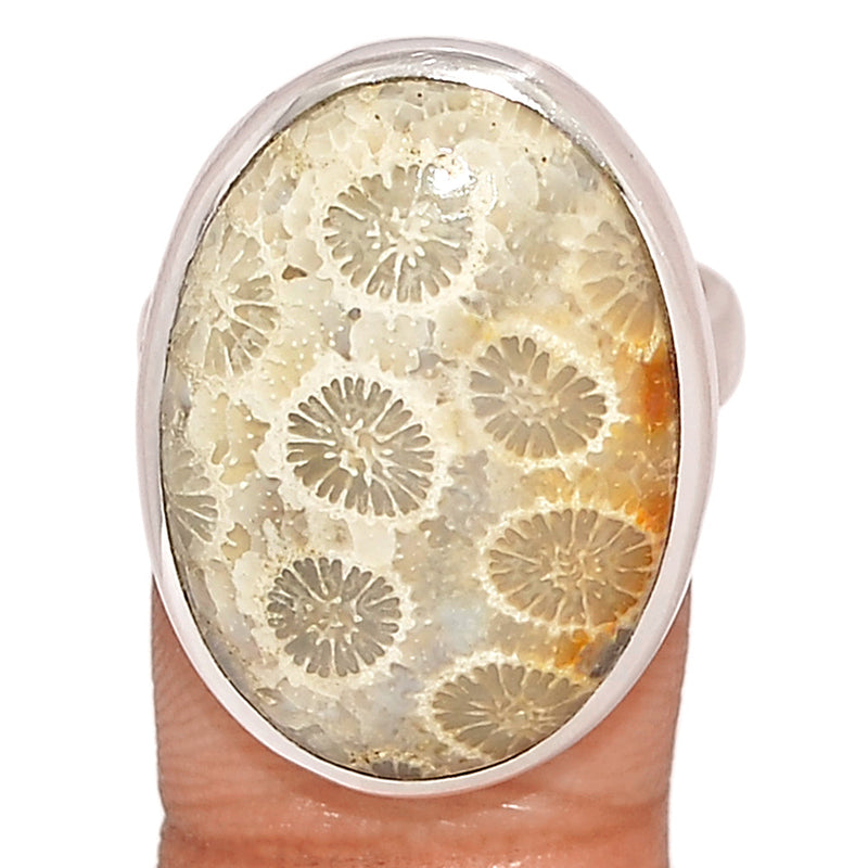 Indonesian Fossil Coral Ring - FSCR317