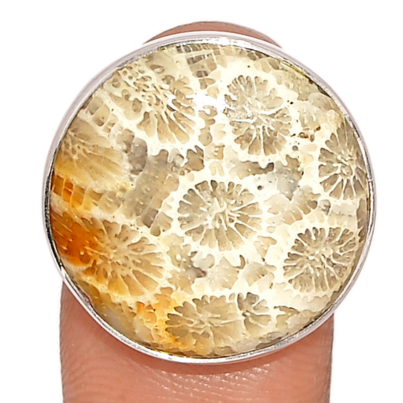 Indonesian Fossil Coral Ring - FSCR328