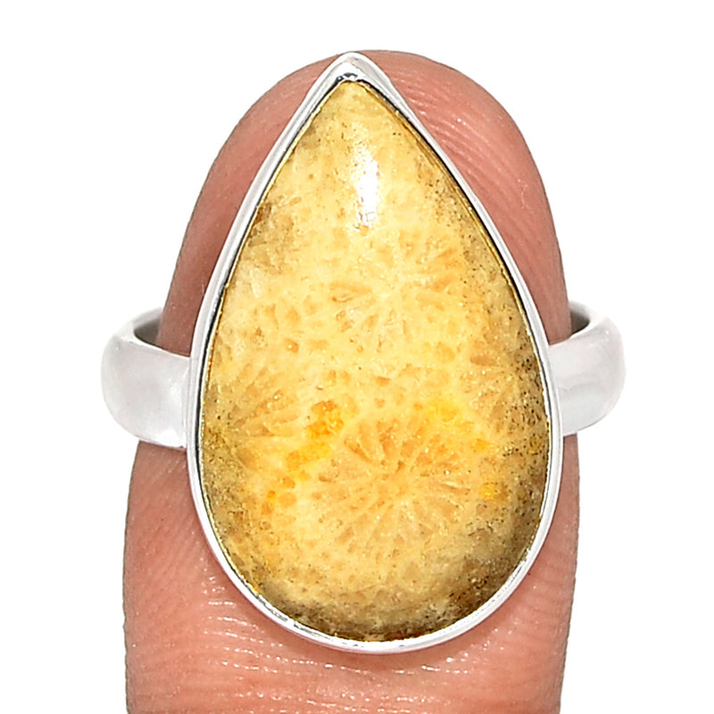 Indonesian Fossil Coral Ring - FSCR344