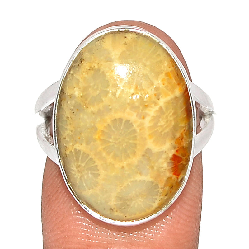 Indonesian Fossil Coral Ring - FSCR349