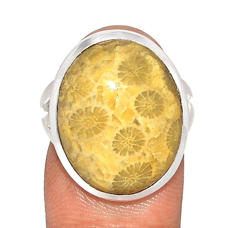 Indonesian Fossil Coral Ring - FSCR366