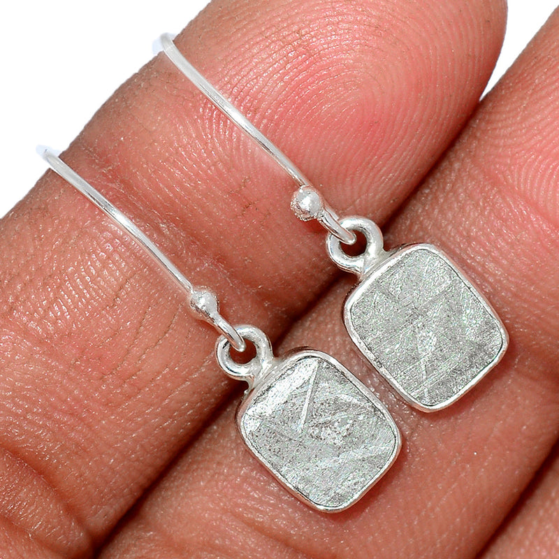 1" Muonionalusta Meteorite Sweden Earrings - GBME316
