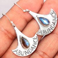 Faceted Labrodorite Earring-LBFE301