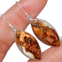 Laguna Lace Agate Earring-LLAE672