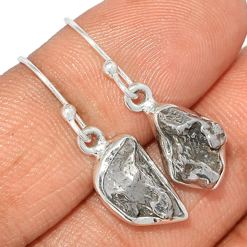 1.1" Meteorite Campo Del Cielo Earrings - MCDE574