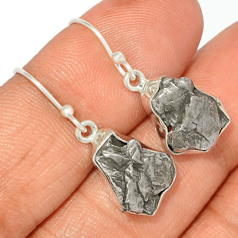 1.2" Meteorite Campo Del Cielo Earrings - MCDE587
