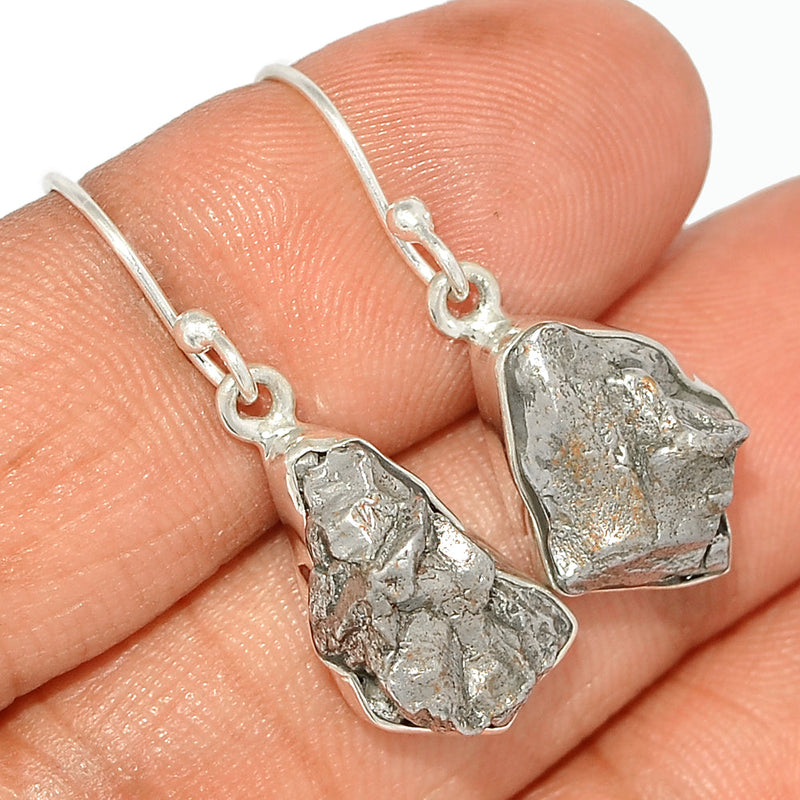 1.2" Meteorite Campo Del Cielo Earrings - MCDE588