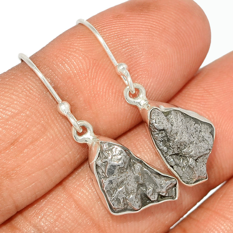 1.1" Meteorite Campo Del Cielo Earrings - MCDE593