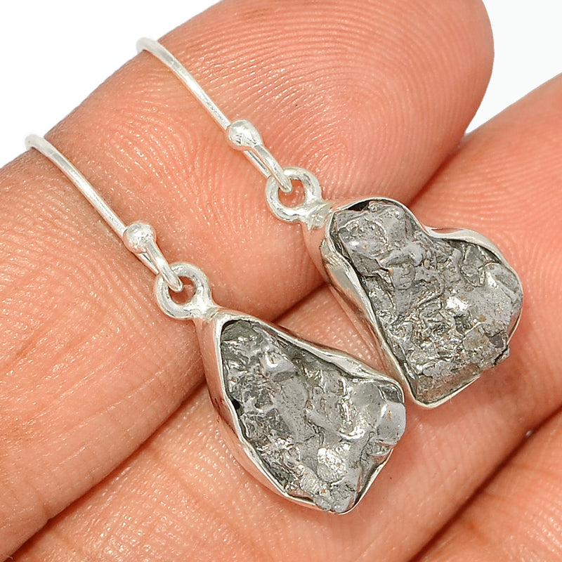 1.2" Meteorite Campo Del Cielo Earrings - MCDE595
