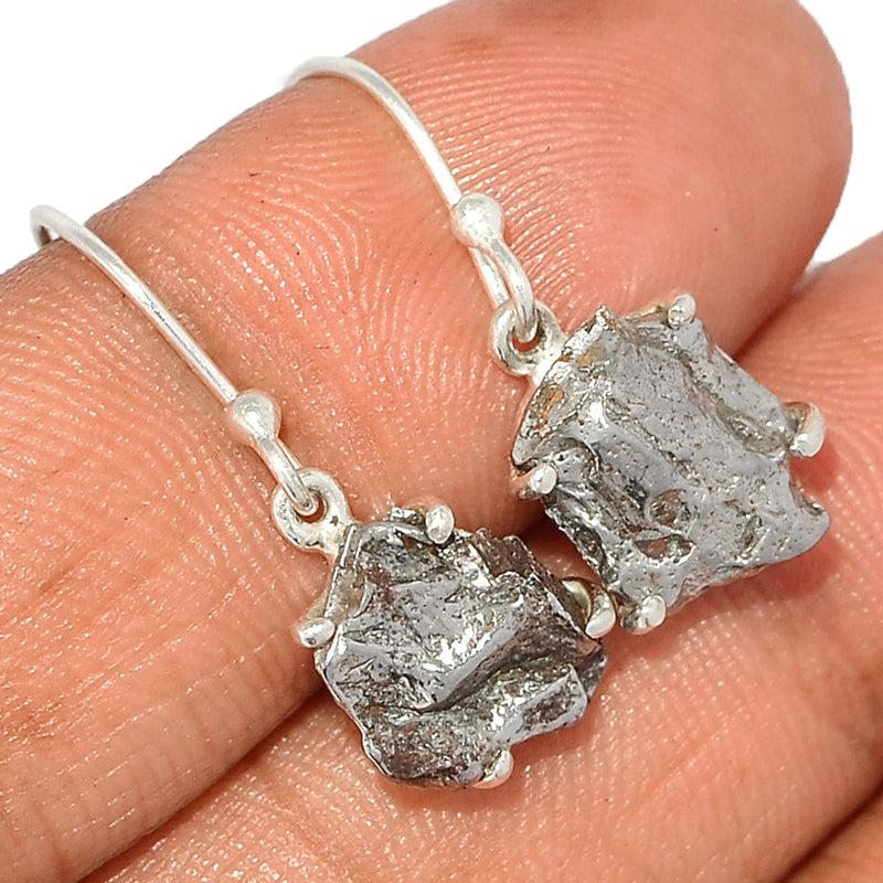 1" Claw - Meteorite Campo Del Cielo Earrings - MCDE607