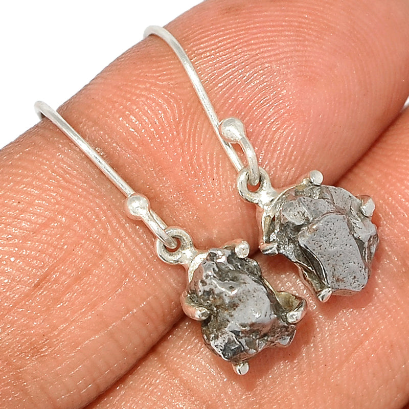 1" Claw - Meteorite Campo Del Cielo Earrings - MCDE611