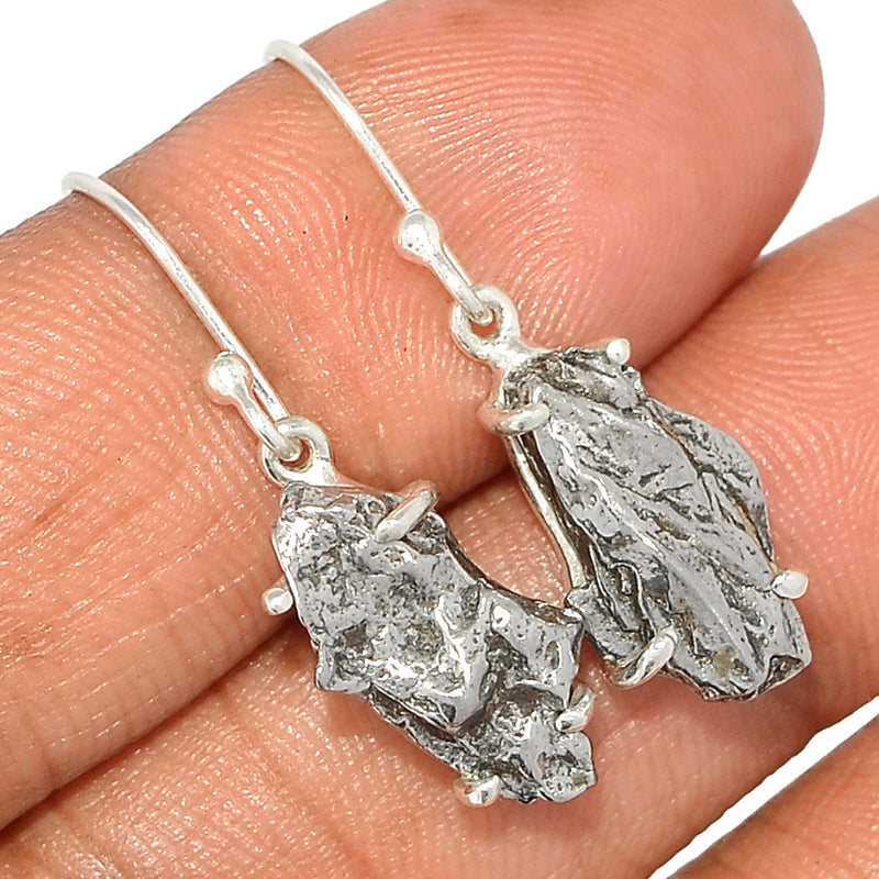 1.2" Claw - Meteorite Campo Del Cielo Earrings - MCDE616
