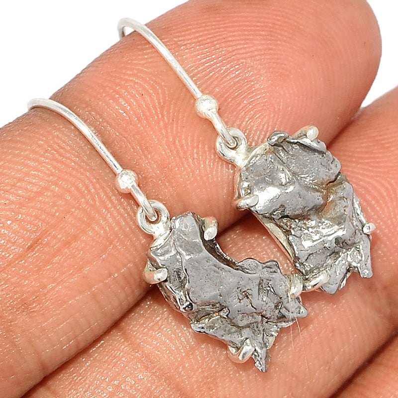 1.2" Claw - Meteorite Campo Del Cielo Earrings - MCDE621