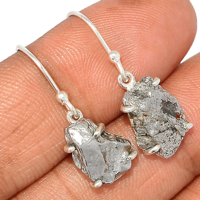 1.1" Claw - Meteorite Campo Del Cielo Earrings - MCDE623