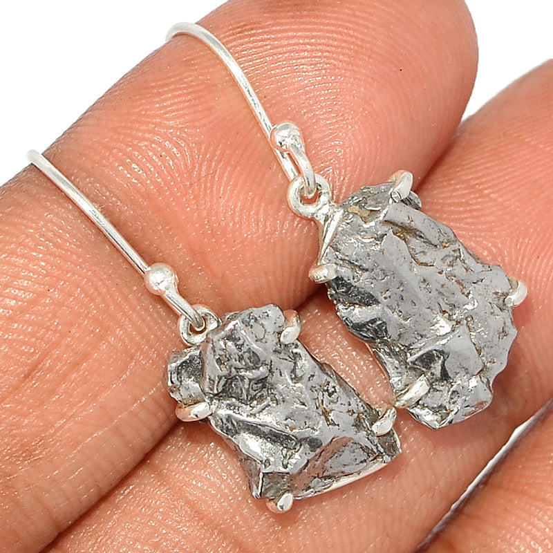1.2" Claw - Meteorite Campo Del Cielo Earrings - MCDE624