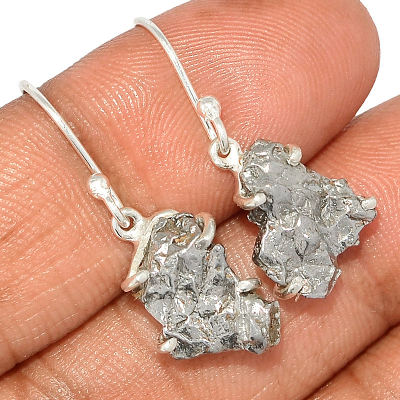 1.1" Claw - Meteorite Campo Del Cielo Earrings - MCDE625