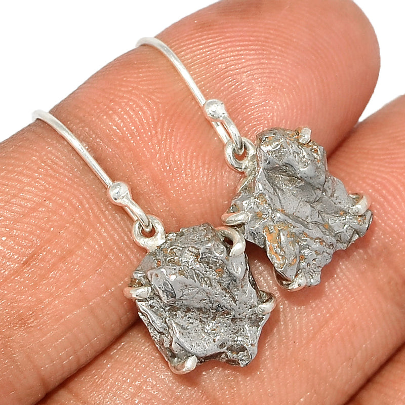 1.1" Claw - Meteorite Campo Del Cielo Earrings - MCDE626
