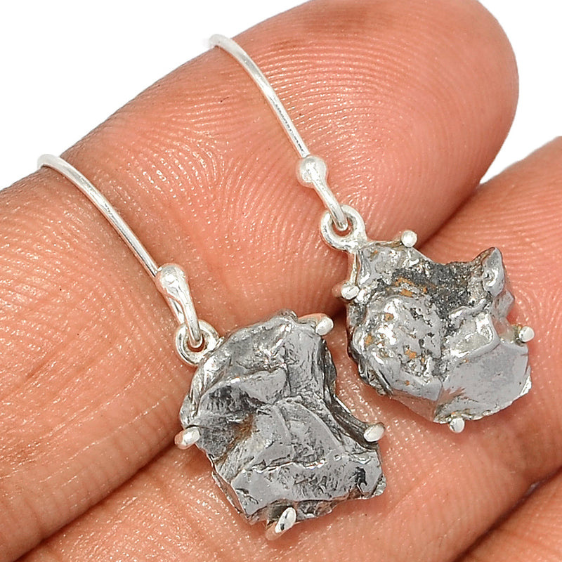 1.1" Claw - Meteorite Campo Del Cielo Earrings - MCDE627
