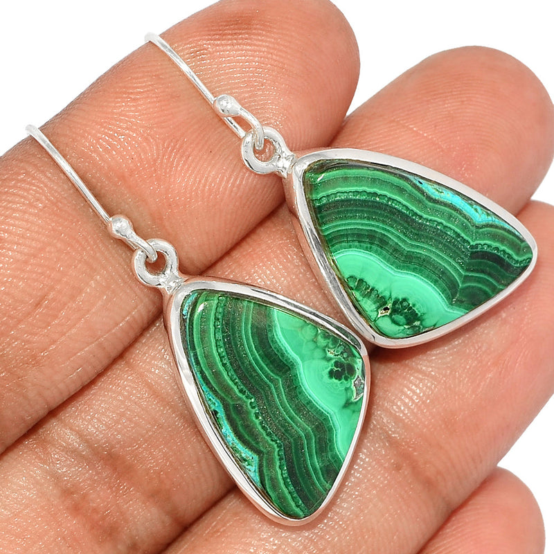 1.6" Malachite In Chrysocolla Earrings - MICE709