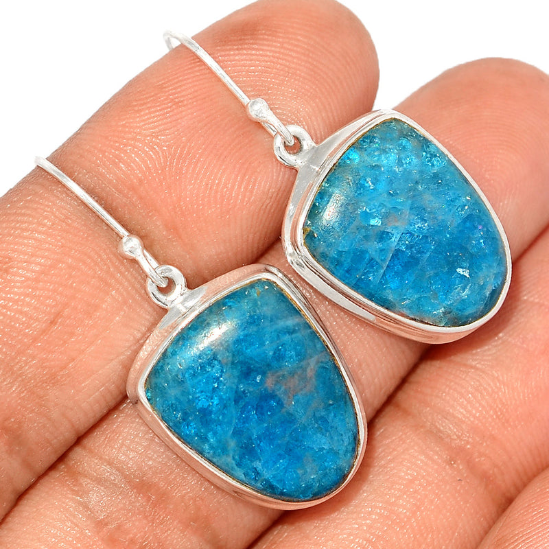 1.5" Neon Blue Apatite Cabochon Earrings - NACE230