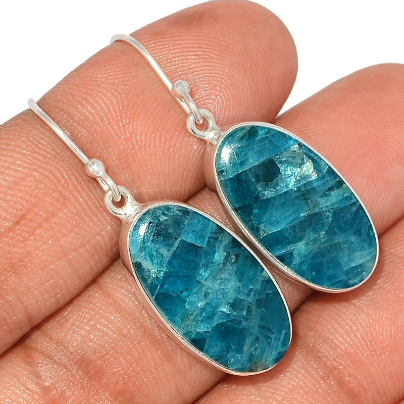 1.5" Neon Blue Apatite Cabochon Earrings - NACE271