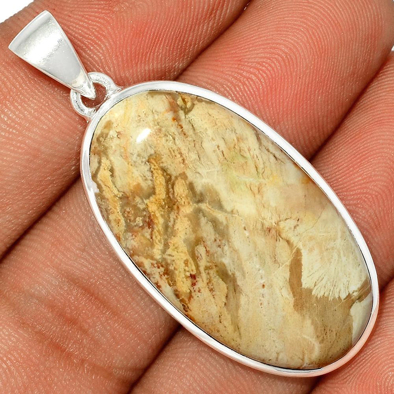 1.7" Petrified Wood Cabochon Pendants - PWCP12