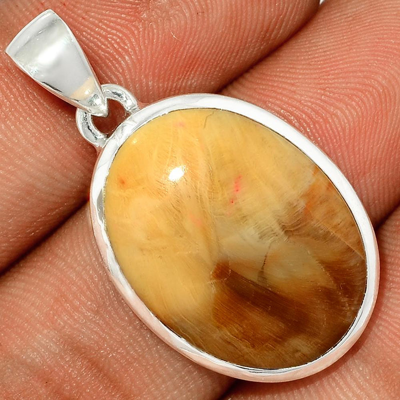 1.4" Petrified Wood Cabochon Pendants - PWCP17