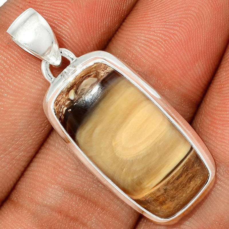 1.4" Petrified Wood Cabochon Pendants - PWCP21