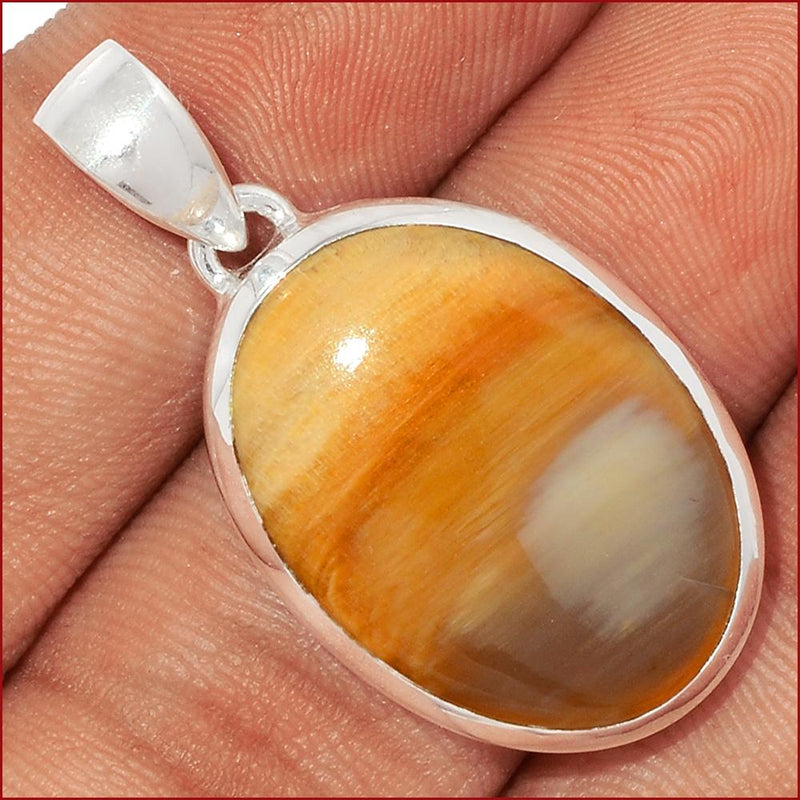 1.5" Petrified Wood Cabochon Pendants - PWCP35