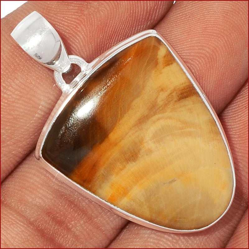 1.6" Petrified Wood Cabochon Pendants - PWCP36