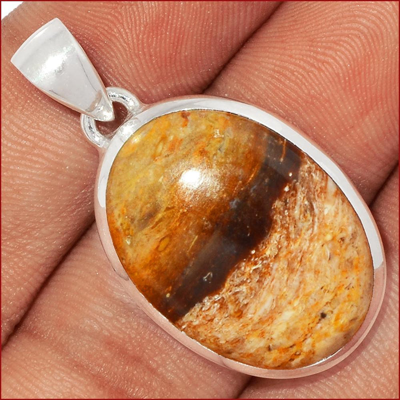 1.5" Petrified Wood Cabochon Pendants - PWCP43