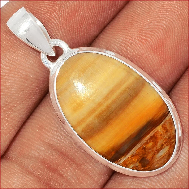 1.6" Petrified Wood Cabochon Pendants - PWCP44