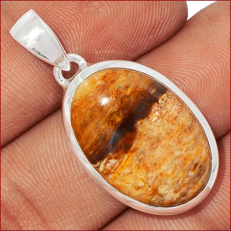 1.3" Petrified Wood Cabochon Pendants - PWCP47